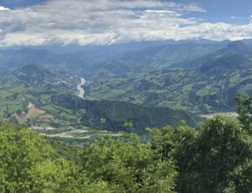 Colombia: the land of coffee