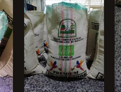 GrainPro Bag