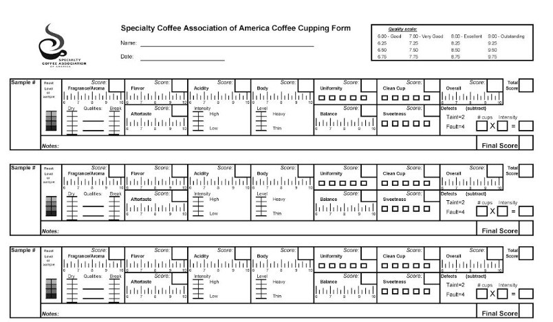 Gobal Pana Solution-sensory-tasting-coffee-form Gobal Pana Solution-sensory-tasting-coffee-form